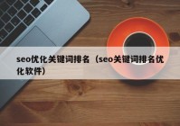 seo优化关键词排名（seo关键词排名优化软件）