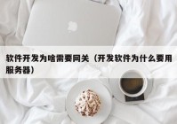 软件开发为啥需要网关（开发软件为什么要用服务器）