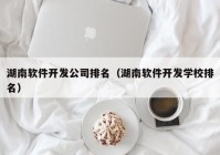 湖南软件开发公司排名（湖南软件开发学校排名）