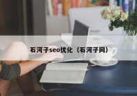 石河子seo优化（石河子网）