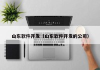 山东软件开发（山东软件开发的公司）