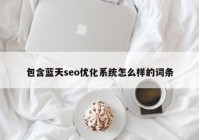 包含蓝天seo优化系统怎么样的词条