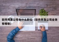 软件开发公司有什么职位（软件开发公司业务有哪些）