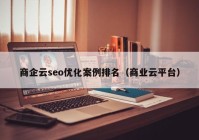 商企云seo优化案例排名（商业云平台）