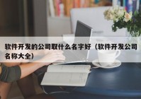 软件开发的公司取什么名字好（软件开发公司名称大全）