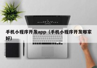 手机小程序开发app（手机小程序开发哪家好）