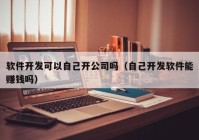 软件开发可以自己开公司吗（自己开发软件能赚钱吗）